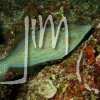 belize_120727_13tres_0013w