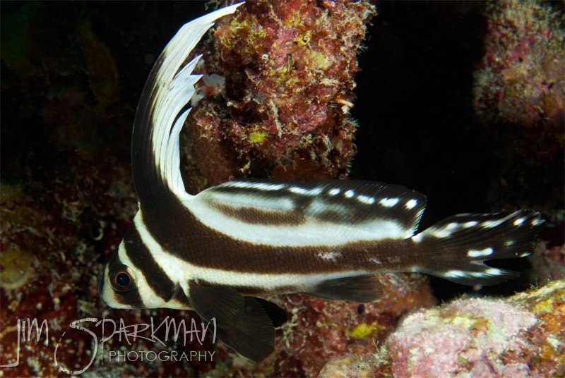 c4b_2012_07_24_0128
