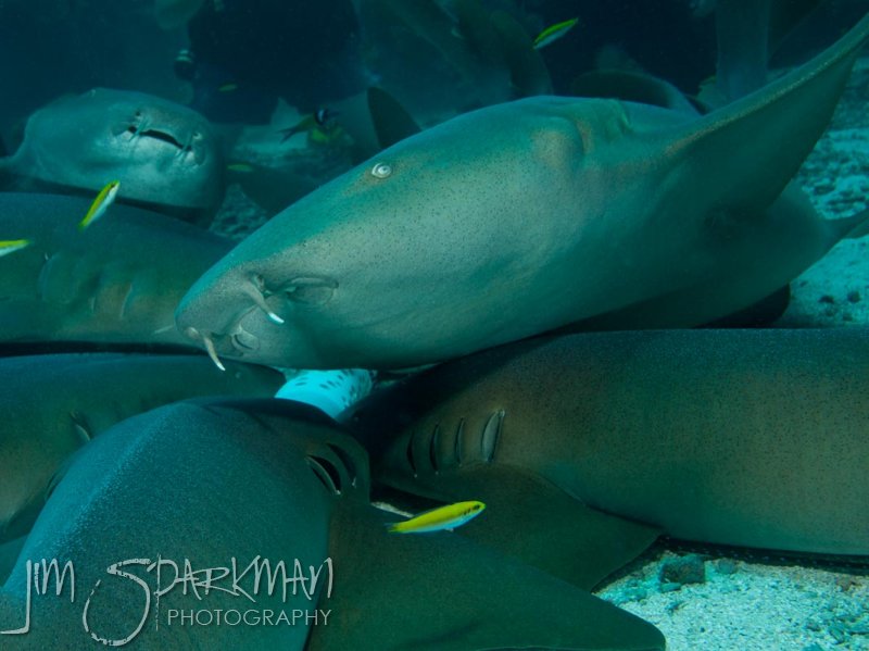 c4c_2012_07_25_0067_edited-1c