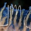 _MG_6643_1