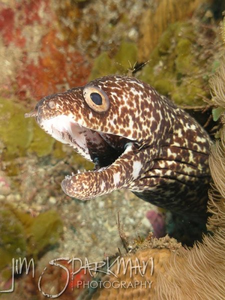 037P5180054