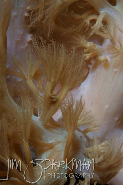 324MG_5456