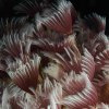 069_MG_1466