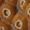 506MG_0253