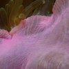 _MG_5694